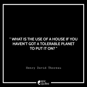 What is the use of a house if you haven’t got a tolerable planet to put it on? – Henry David Thoreau