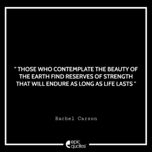 Those who contemplate the beauty of the Earth find reserves of strength that will endure as long as life lasts. – Rachel Carson