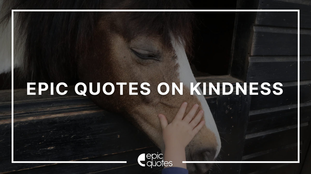 Epic Quotes on Kindness