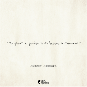 To plant a garden is to believe in tomorrow.” – Audrey Hepburn