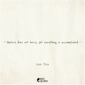 Nature does not hurry, yet everything is accomplished, Lao Tzu