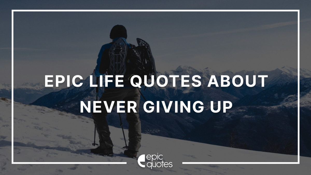 never give up quotes