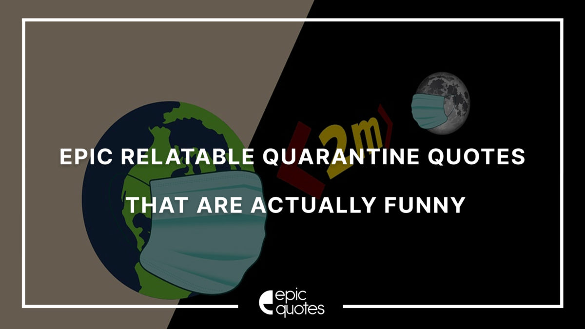 Epic relatable Quarantine Quotes that are actually pretty funny