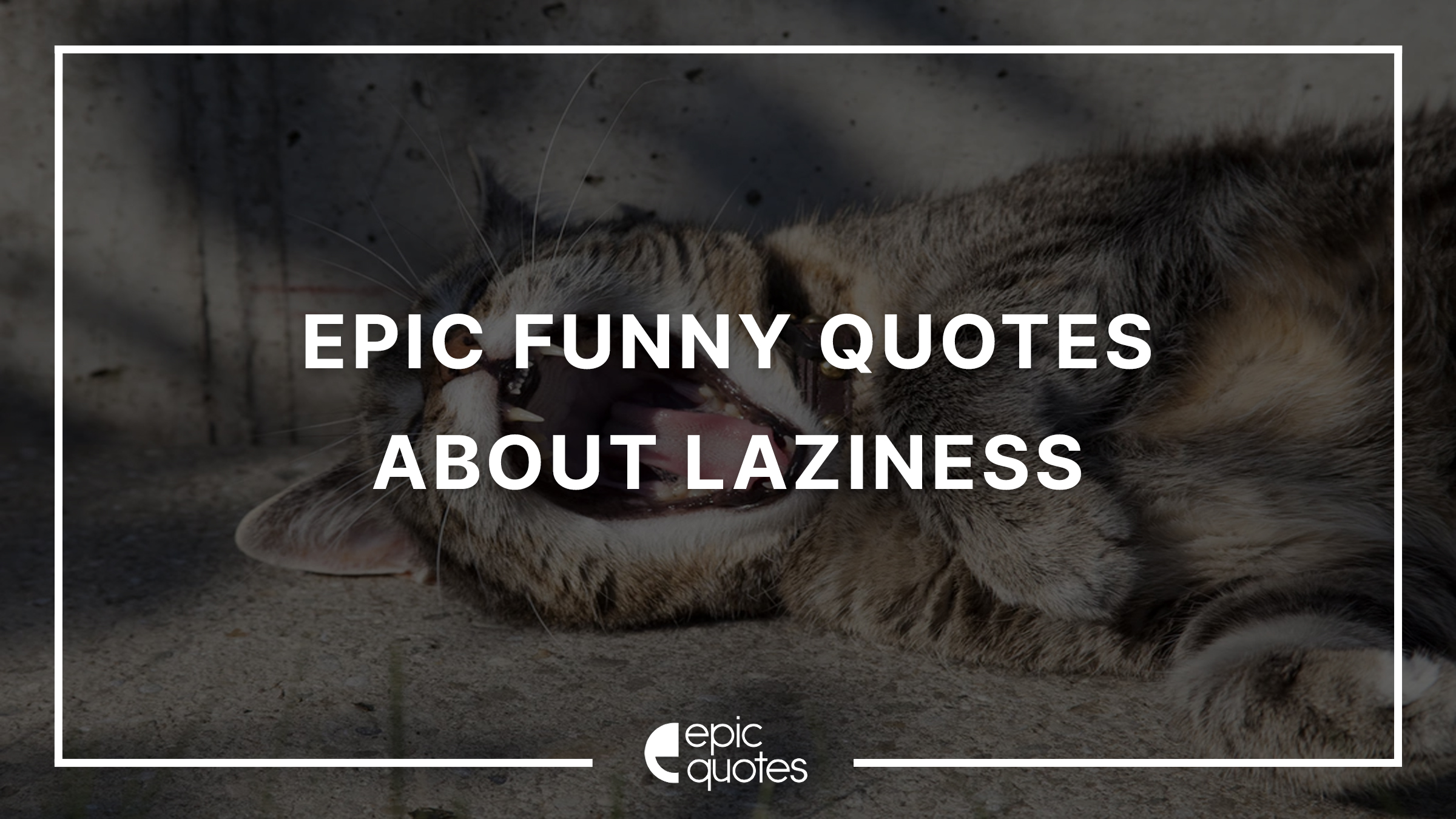 Epic Funny Quotes About Laziness During Quarantine - Epic Quotes