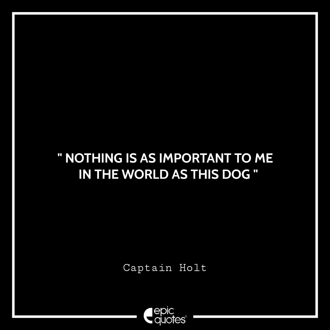 Nothing is as important to me in the world as this dog Nothing is as important to me in the world as this dog