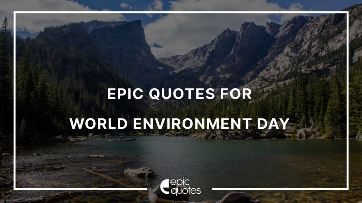 world environment day quotes