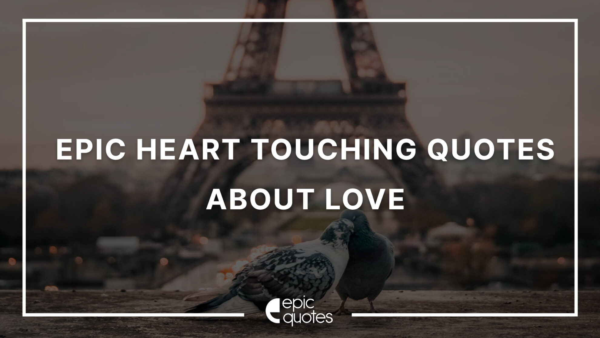 Epic Heart Touching Quotes About Love