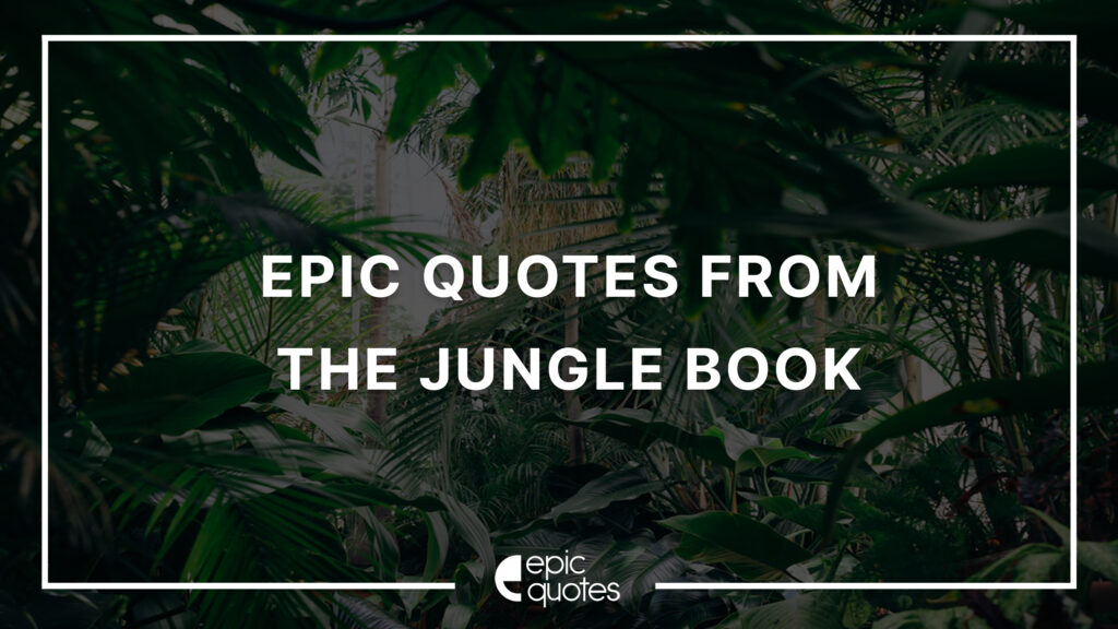 Jungle Book Quote - Which 'Jungle Book' Character Are You? - Quiz