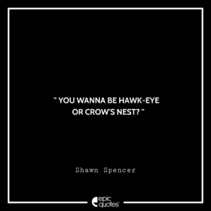 You wanna be hawk-eye or crow’s nest? —Shawn Spencer
