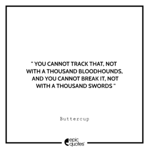 You Cannot Track That, Not With A Thousand Bloodhounds, And You Cannot Break It, Not With A Thousand Swords. -Buttercup