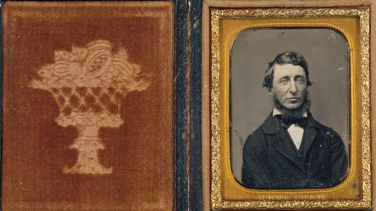 Henry David Thoreau quotes