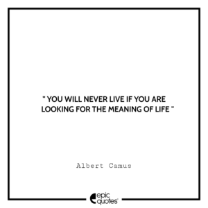 You will never live if you are looking for the meaning of life. -Albert Camus
