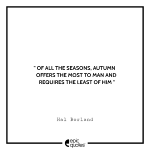 Of all the seasons, autumn offers the most to man and requires the least of him. -Hal Borland