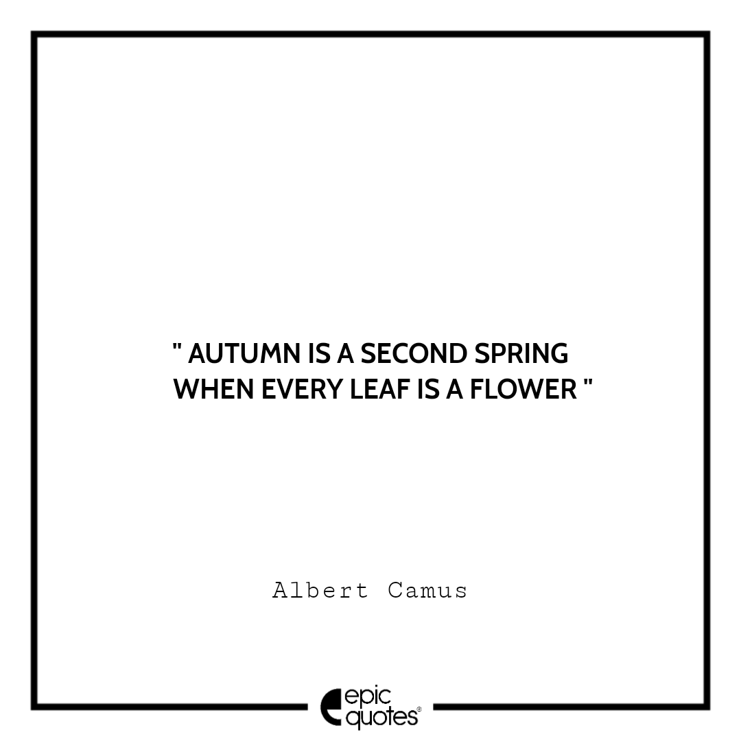 35 Most Refreshing and Beautiful Autumn Quotes of All Time