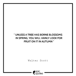Unless a tree has borne blossoms in spring, you will vainly look for fruit on it in autumn. -Walter Scott
