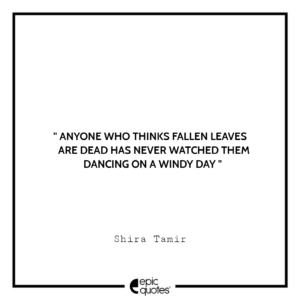 Anyone who thinks fallen leaves are dead has never watched them dancing on a windy day. -Shira Tamir
