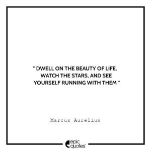 Dwell on the beauty of life, watch the stars, and see yourself running with them. -Marcus Aurelius