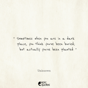 Sometimes when you are in a dark place, you think you’ve been buried; but actually you’ve been planted.