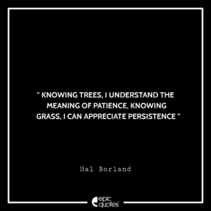 Knowing trees, I understand the meaning of patience. Knowing grass, I can appreciate persistence. –Hal Borland