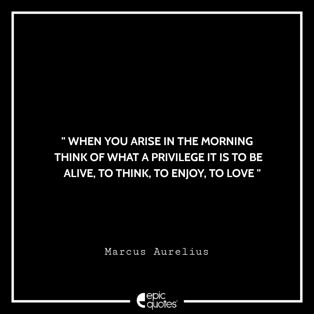 When you arise in the morning think of what a privilege it is to be alive, to think, to enjoy, to love. –Marcus Aurelius Quotes For Monday