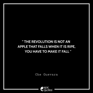 The revolution is not an apple that falls when it is ripe, You have to make it fall. -Che Guevara