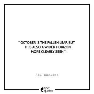 October is the fallen leaf, but it is also a wider horizon more clearly seen. -Hal Borland