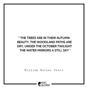 The trees are in their autumn beauty, the woodland paths are dry, under the October twilight the water mirrors a still sky. -William Butler Yeatsq