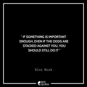 If something is important enough, even if the odds are stacked against you, you should still do it. –Elon Musk