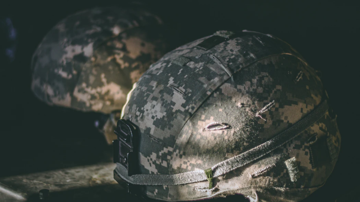 Veteran's Day quotes