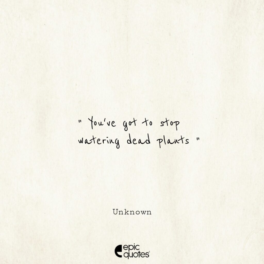 You’ve got to stop watering dead plants.