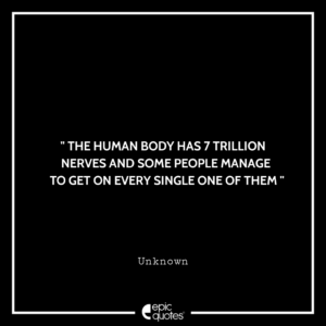 The human body has 7 trillion nerves and some people manage to get on every single one of them.