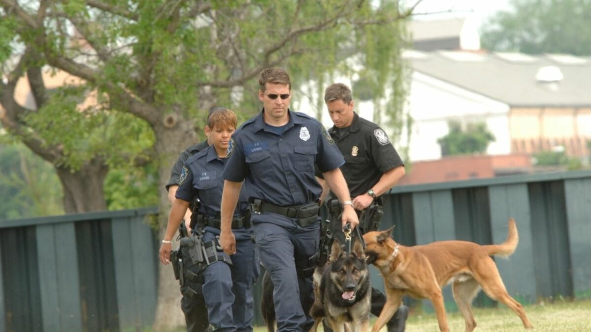 Law Enforcement Appreciation Day Quotes